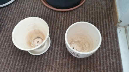 Photo of free Plant pots (Paignton) #2