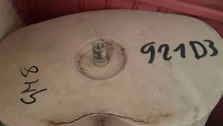 Photo of free Legs (Seaside BN22) #2