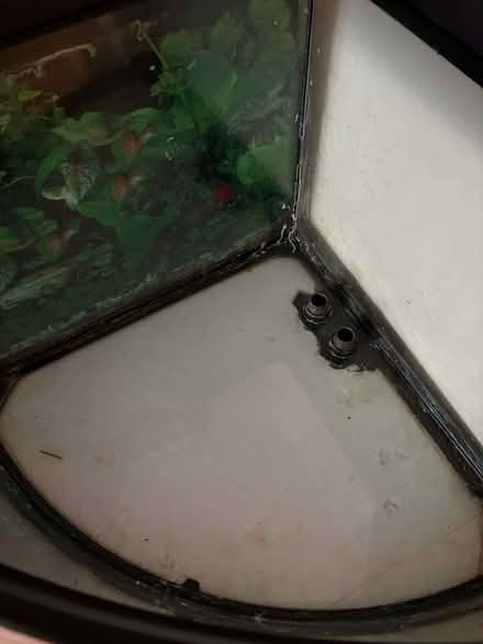 Photo of free 190L corner fluval fish tank (Ellesmere Port CH65) #3