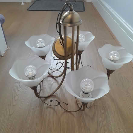 Photo of free Hanging Light (Havant PO9) #2