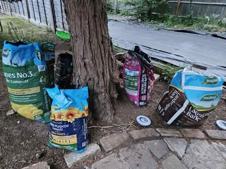 Photo of free 5 bags of soil (Orpington, BR5) #1