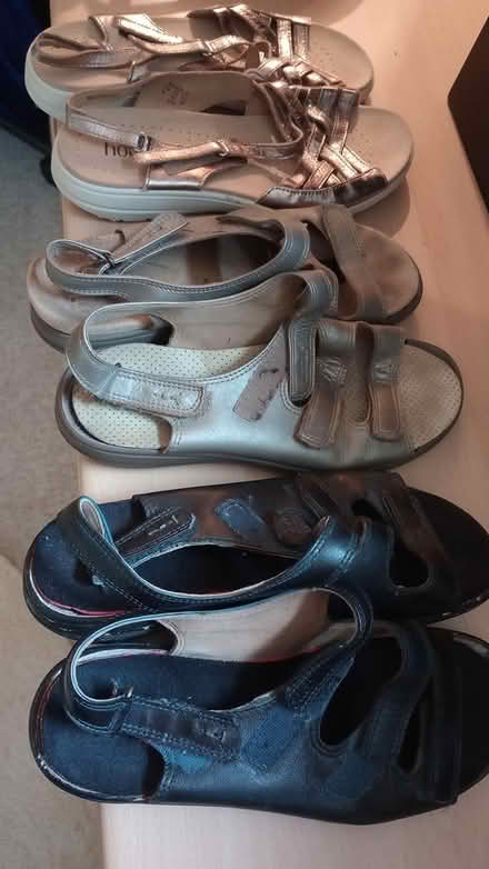 Photo of free Hotter comfort shoes 7.5 size (southbourne BH6) #1