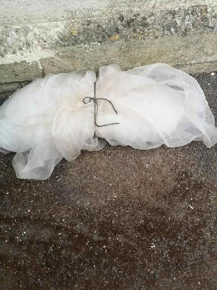 Photo of free Garden netting (Odd Down) #1