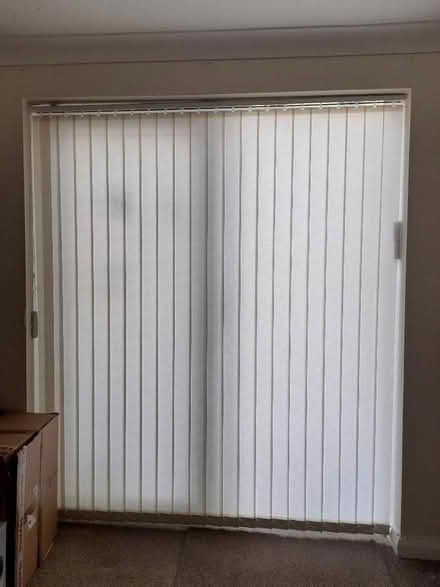 Photo of free Hillary's Vertical Blinds (Shirley CR0) #1