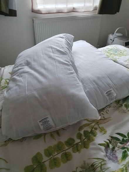 Photo of free Two Slumberdown Pillows (CT2) #1
