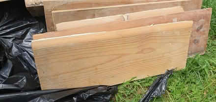 Photo of free wood for birds nests (Hengistbury Head BH6) #1