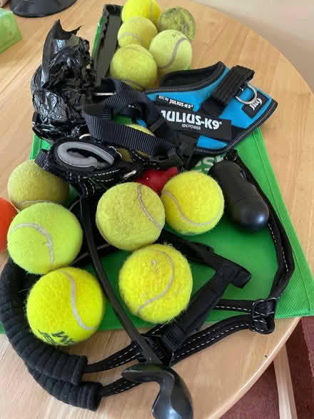 Photo of free Dog walking paraphernalia (PE8) #1