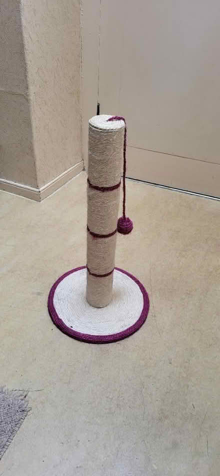 Photo of free Cat scratcher pole (Neilston) #1