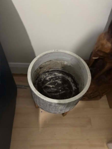 Photo of free Ceramic plant pot (Plaistow E13) #1