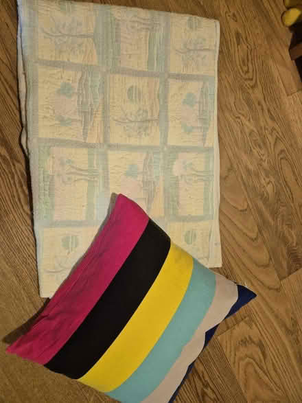 Photo of free Blanket and cushion (Broadbridge Heath) #1