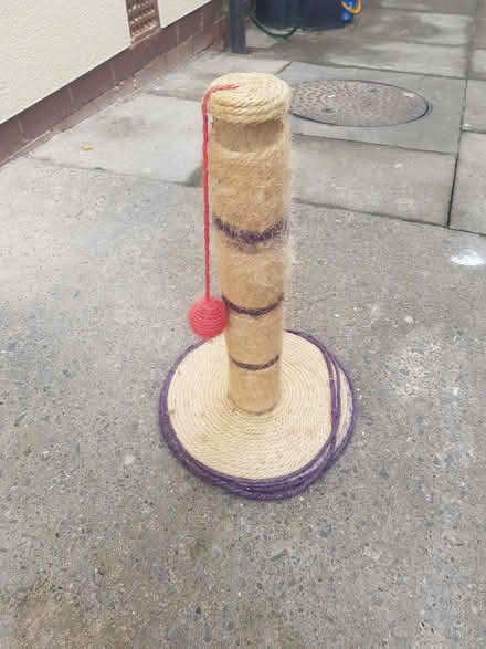 Photo of free Cat scratching post, used (Norton S8) #1