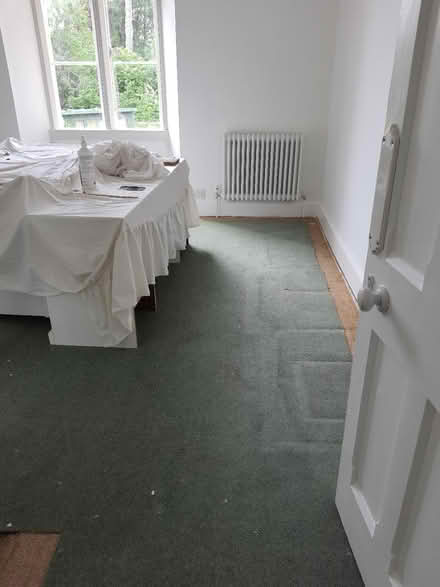 Photo of free Large piece of carpet (Stroud central) #1