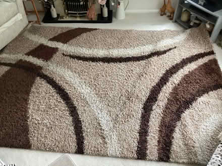 Photo of free Shaggy rug (Petersfield GU31) #2