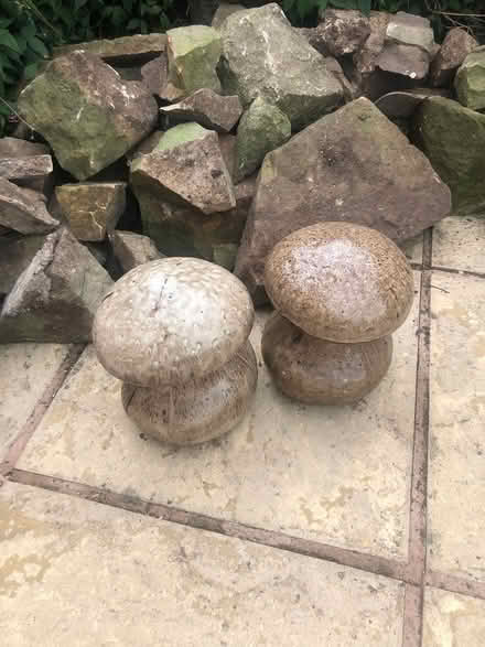Photo of free Garden rockery stones (Wrexham) #3