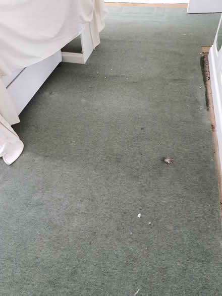 Photo of free Large piece of carpet (Stroud central) #2