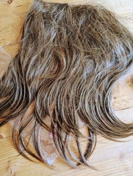 Photo of free Clip in long hair extensions (St Helens) #3