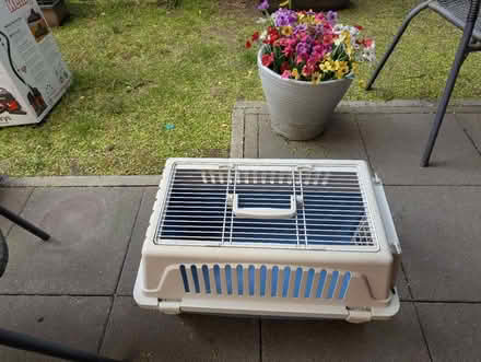 Photo of free Cat carrier's (Dereham Rd area NR2) #1