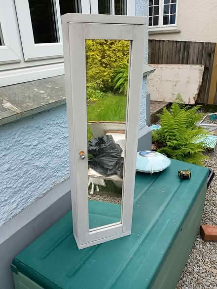 Photo of free Corner cupboard with door mirror (Falmouth TR11) #1