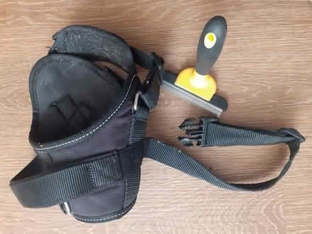 Photo of free dog harness (King's Cross N1) #1