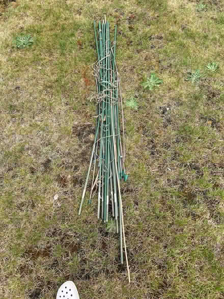 Photo of free Garden plant stakes (Wildernesse TN15) #1