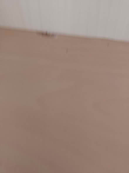 Photo of free IKEA Billy Bookcase/Shelving Unit (Bents Green S11) #2