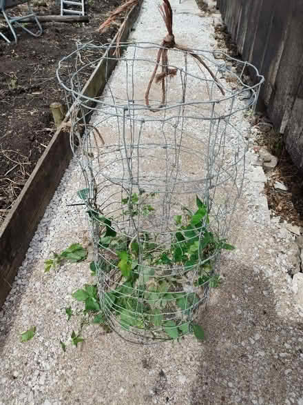 Photo of free Roll of garden wire fence (Nether Kellet LA6) #1