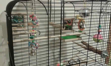 Photo of free Bird Cage and accessories. (Penrith CA11) #2