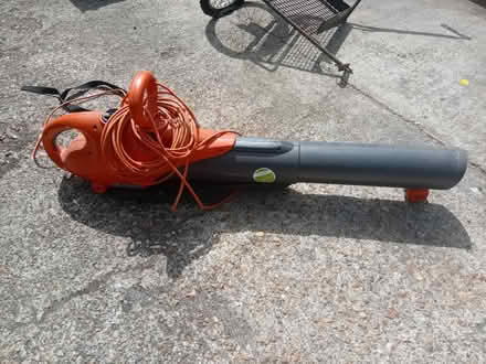 Photo of free Flymo leaf blower (Buriton GU31) #1