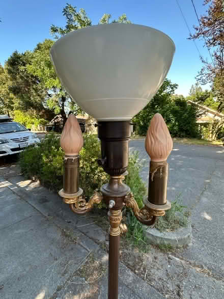 Photo of free Standing lamp (Downtown Sebastopol) #3