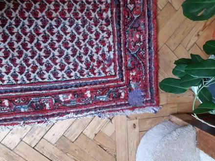 Photo of free Persian rug (Reigate RH2) #2
