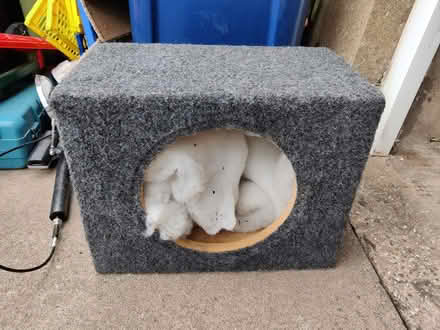 Photo of free Sub woofer box (Bishops Cleeve GL52) #1