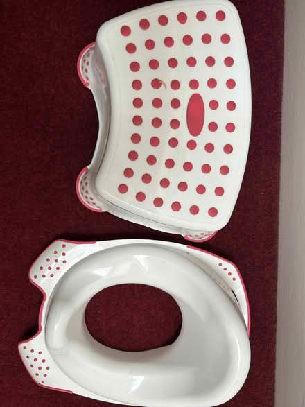 Photo of free Toddler toilet seat and step (Little Kingshill HP16) #1