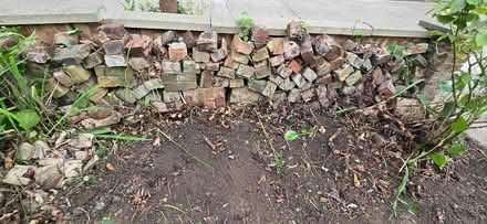 Photo of free Used bricks (Twickenham TW1) #2