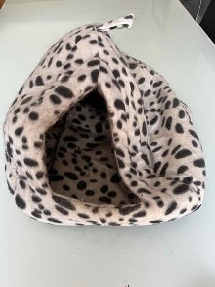 Photo of free Cat bed (Old town SG1) #1