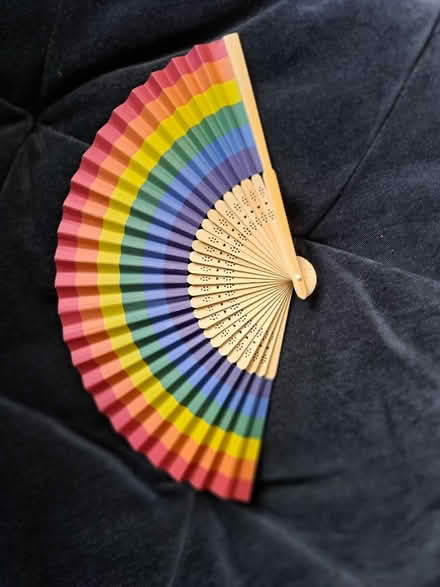 Photo of free Pride Fan (CF24) #1