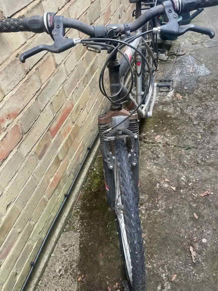 Photo of free Men’s bike (Molesey KT8) #3