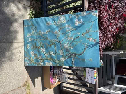 Photo of free Canvas wall art (Alameda East end) #1