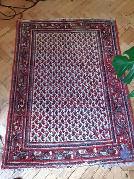 Photo of free Persian rug (Reigate RH2) #1