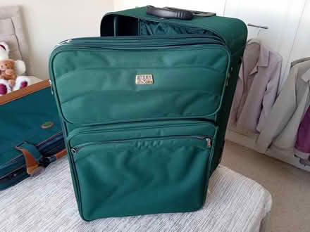 Photo of free Antler Suitacse (St Lawrence) #1