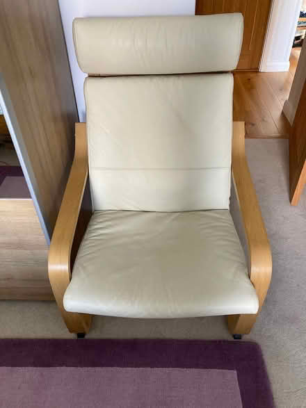 Photo of free Ikea leather chair (Hastings) #1