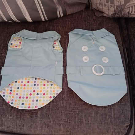 Photo of free Dog coats (CF83 1BR- Caerphilly) #2