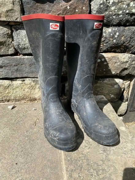 Photo of free Steel capped size 10 wellingtons (Stannington S6) #1