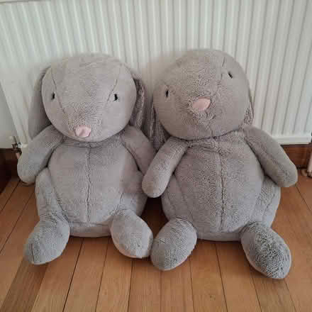 Photo of free 2 giant soft bunny toys (Hallam Fields, Ilkeston) #1