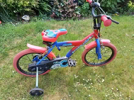 Photo of free Spiderman bike 16" (Rooks Nest SG1) #1
