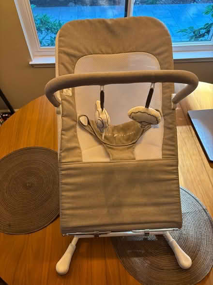 Photo of free Baby bouncer (Walnut Creek) #1
