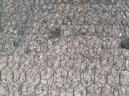 Photo of free Used green chicken wire (TF9) #1