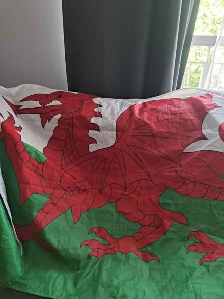 Photo of free Welsh flag (CF24) #1
