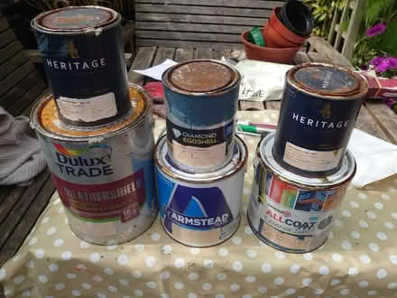 Photo of free Paint (Teignmouth) #1