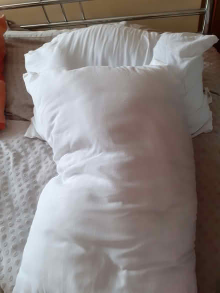 Photo of free Two pillows (Chatham ME4) #1