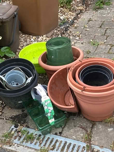 Photo of free Plant plots (Cheam Sutton SM3) #1